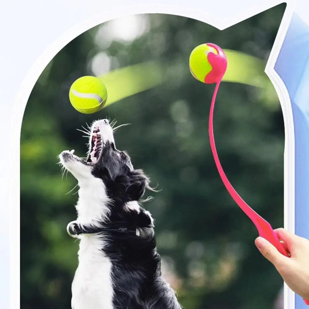 Slide image 64807101817e4988a48f1b4fdae15462