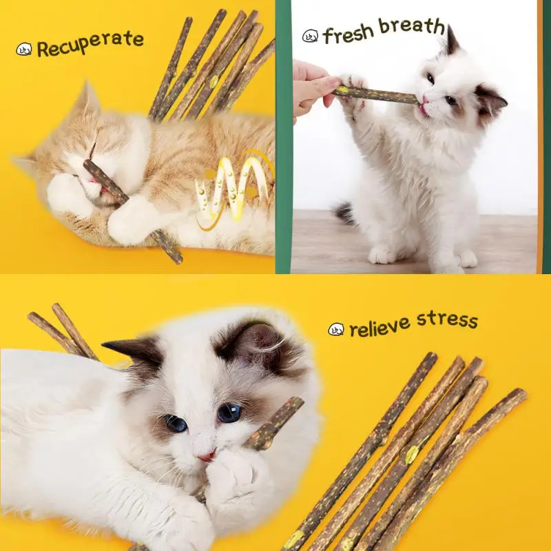 Natural Catnip Pet Cat Molar Toothpaste Stick Pet Cat Kitten Chew Toys Stick Fruit Matatabi Cat Snacks Sticks Pet Cleaning Teeth