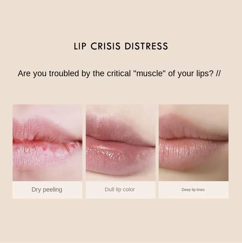 Description Picture 3 of itemHEYXI Silky Moisturizing Lipstick Lip Gloss Moisturizing Sexy Lipstick Female Lip Care Anti-crack Anti-wrinkle Cosmetics
