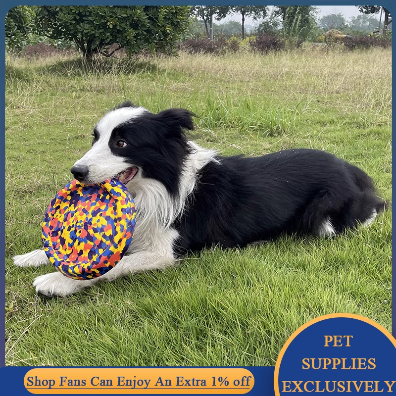 Slide image 6238b10ff9a14ed494c759119ff66c43