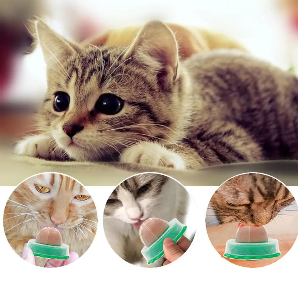 Description Picture 5 of itemPet Stuff Healthy Cat Catnip Toys Ball Cat Candy Licking Snacks Catnip Snack Nutrition Energy Ball Snack Ball Kitten Cat Toy