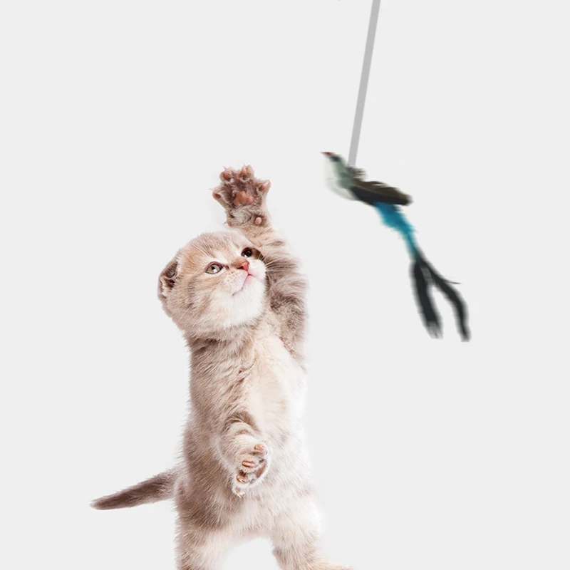 Description Picture 5 of itemSimulation Cat Toy Retractable Hanging Door Type Cat Scratch Rope Mouse Cat Self-hey Interactive Mouse Toy katten accessories