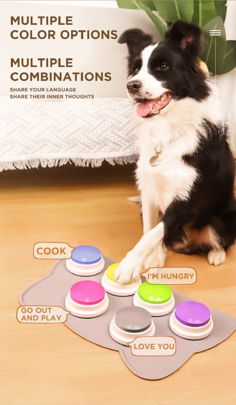 Slide image 11829e5fd7074392841d4156c02ea00f