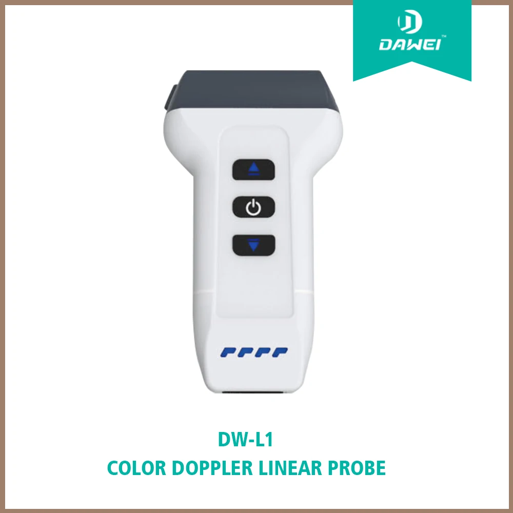 DW-L1