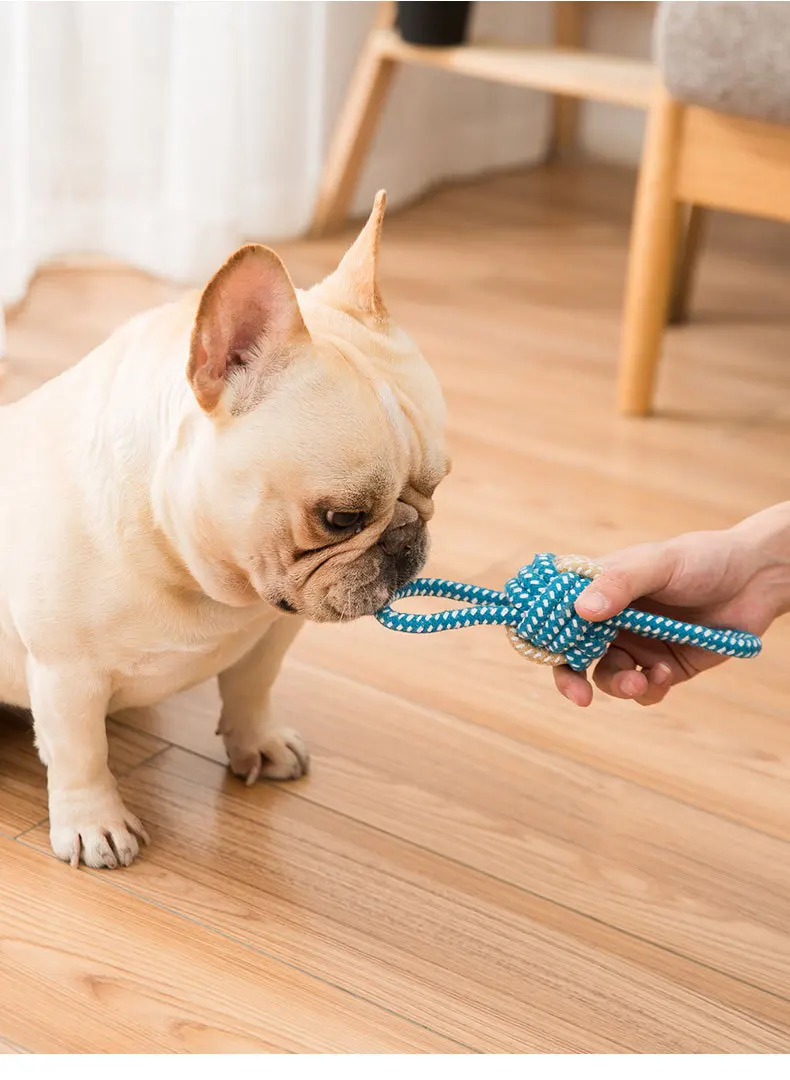 Description Picture 4 of itemDog grinding teeth to relieve depression, knot toy, dog biting rope set, puppy size dog toy ball