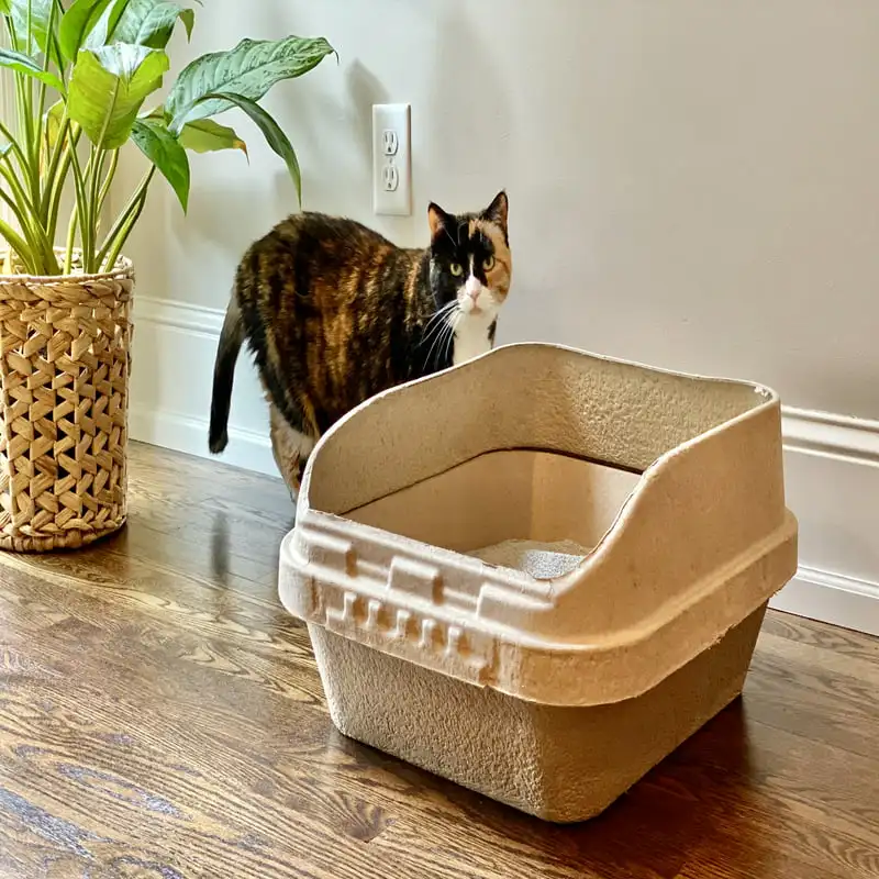 Description Picture 4 of itemof 1 Litter Box, 3 Sifting Liners & 1 Shield) Sustainable, Clean, Sifting, Disposable Cat Litter Box with Shield, Jumbo