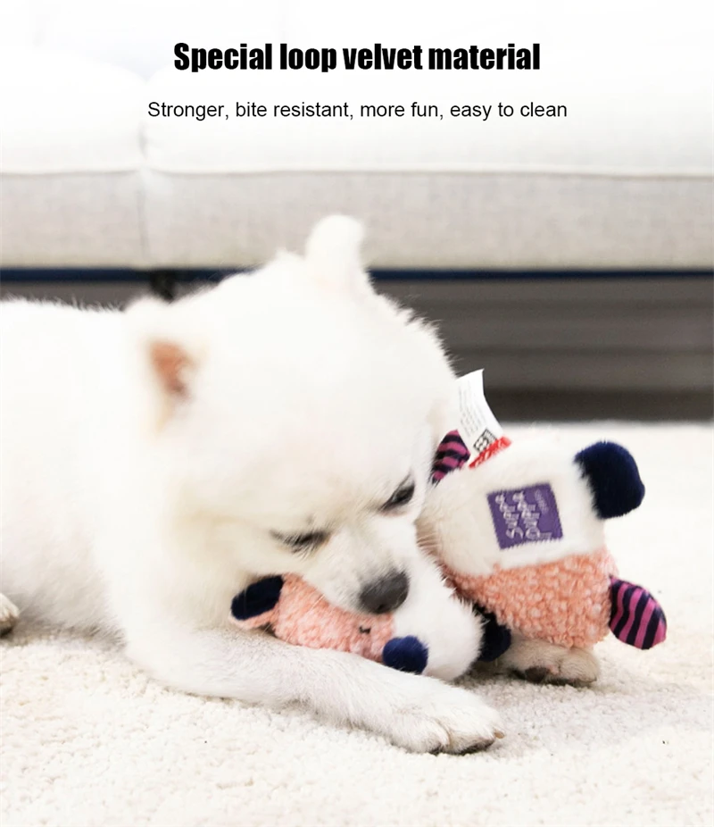 Slide image 449c884c17c141ddb9099aa4e8c0bfae