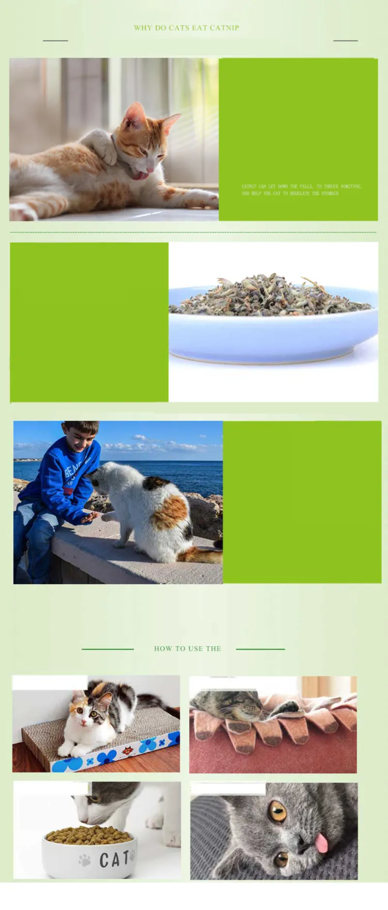 Description Picture 4 of item5g Cat Toy Catnip Organic 100% Natural Premium Catnip Clean Teeth Healthy Menthol Flavor Funny Cat Mint Toys Cat Accessories