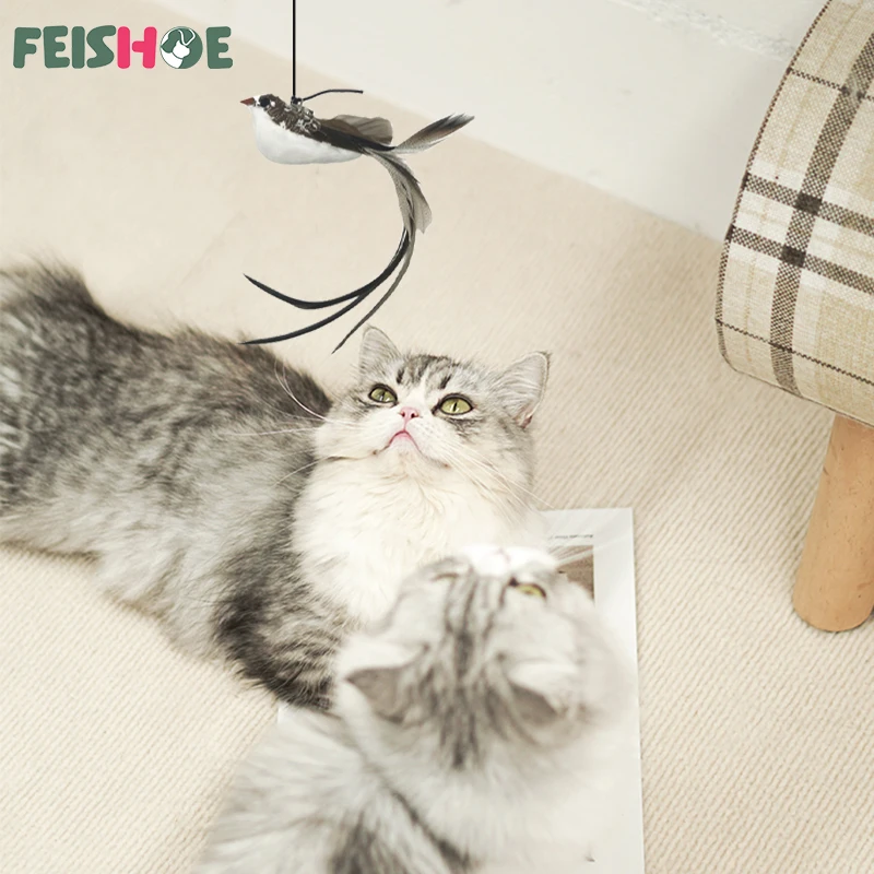 Slide image undefined