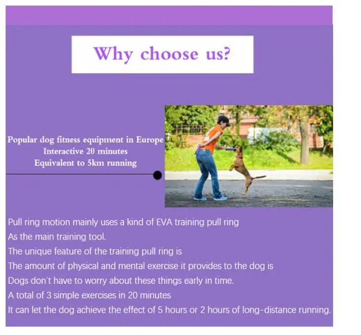 Description Picture 5 of itemEVA Flying Discs for Dog Training, Ring Puller Resistant Bite Floating Toy Outdoor Interactive Game, Playing Products Puppy 28CM