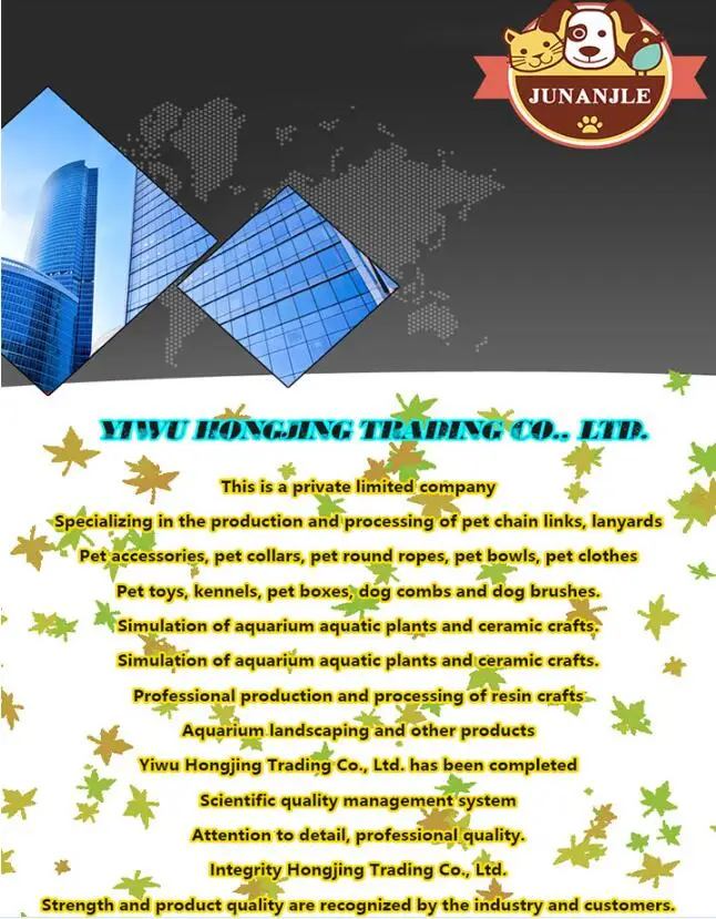 Description Picture 3 of itemEVA Flying Discs for Dog Training, Ring Puller Resistant Bite Floating Toy Outdoor Interactive Game, Playing Products Puppy 28CM