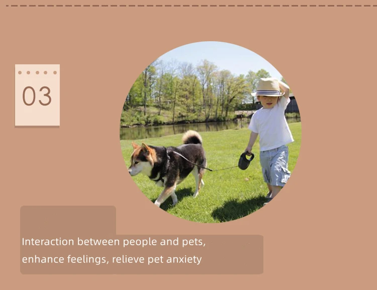 Description Picture 6 of itemRubber Donuts Dog Squeaky Toy Ice Cream Shape Interactive Toys Bite-Resistant For Small Dog Molar Clean Teeth Puppy Chew Toy