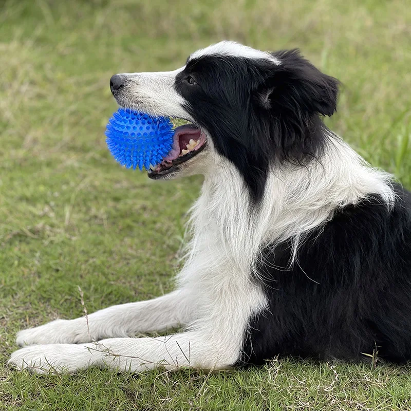 Dog Squeaky Toys Flash Ball Jumping Ball Spike Ball Luminous Massage Ball Pet Toys Colorful Soft Pet Puppy мяч для собак