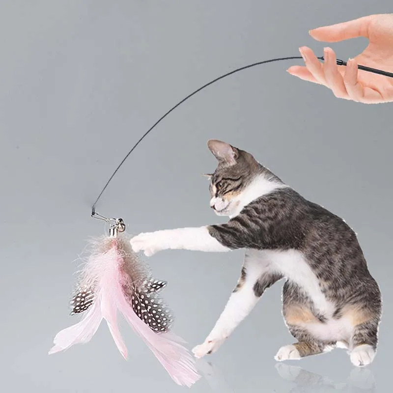Description Picture 5 of itemInteractive Cat Toy Funny Simulation Feather with Bell Cat Stick Toy for Kitten Playing Teaser Wand Steel Wire Toy Cat Supplies