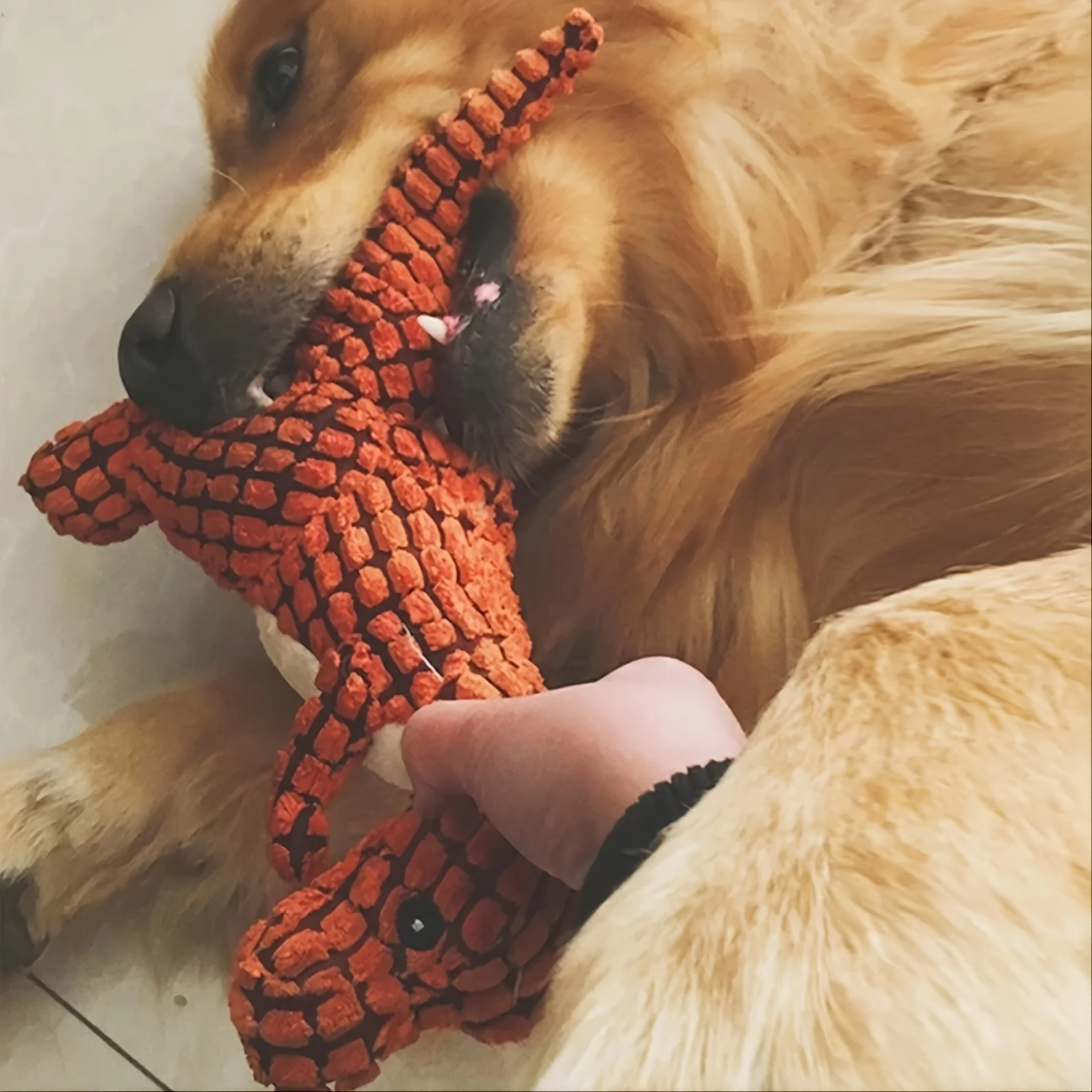 Slide image 291b77ff650444049e5404829b352f63