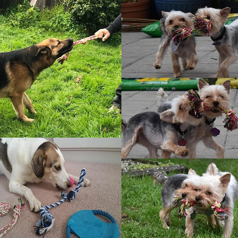 Slide image a7f485da39b14e1da89dda8d9d6c13a5