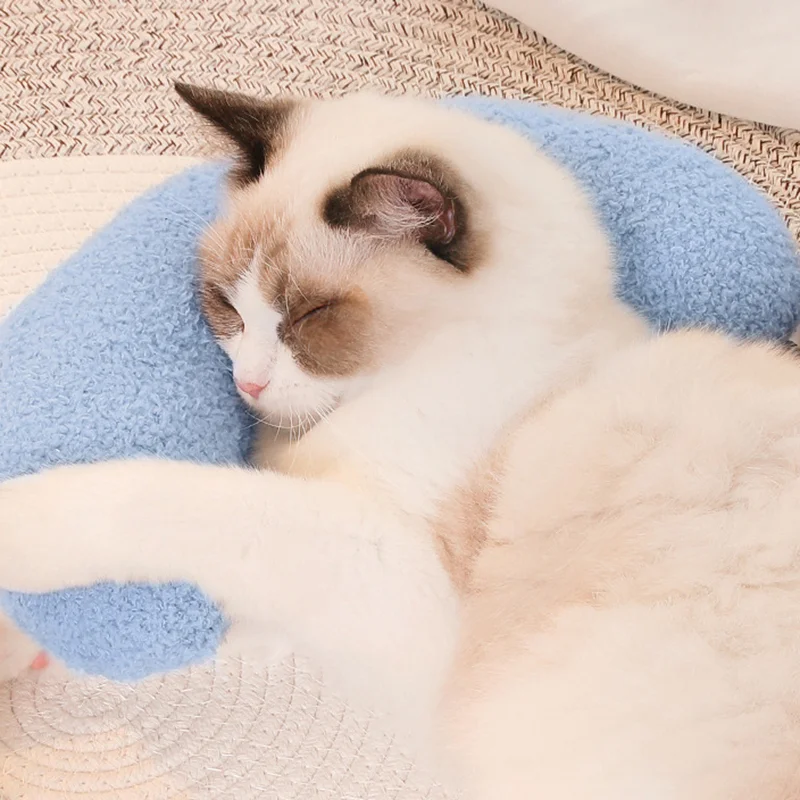 Slide image ad41ece7212d4e06a3c9acef61b3a5f0