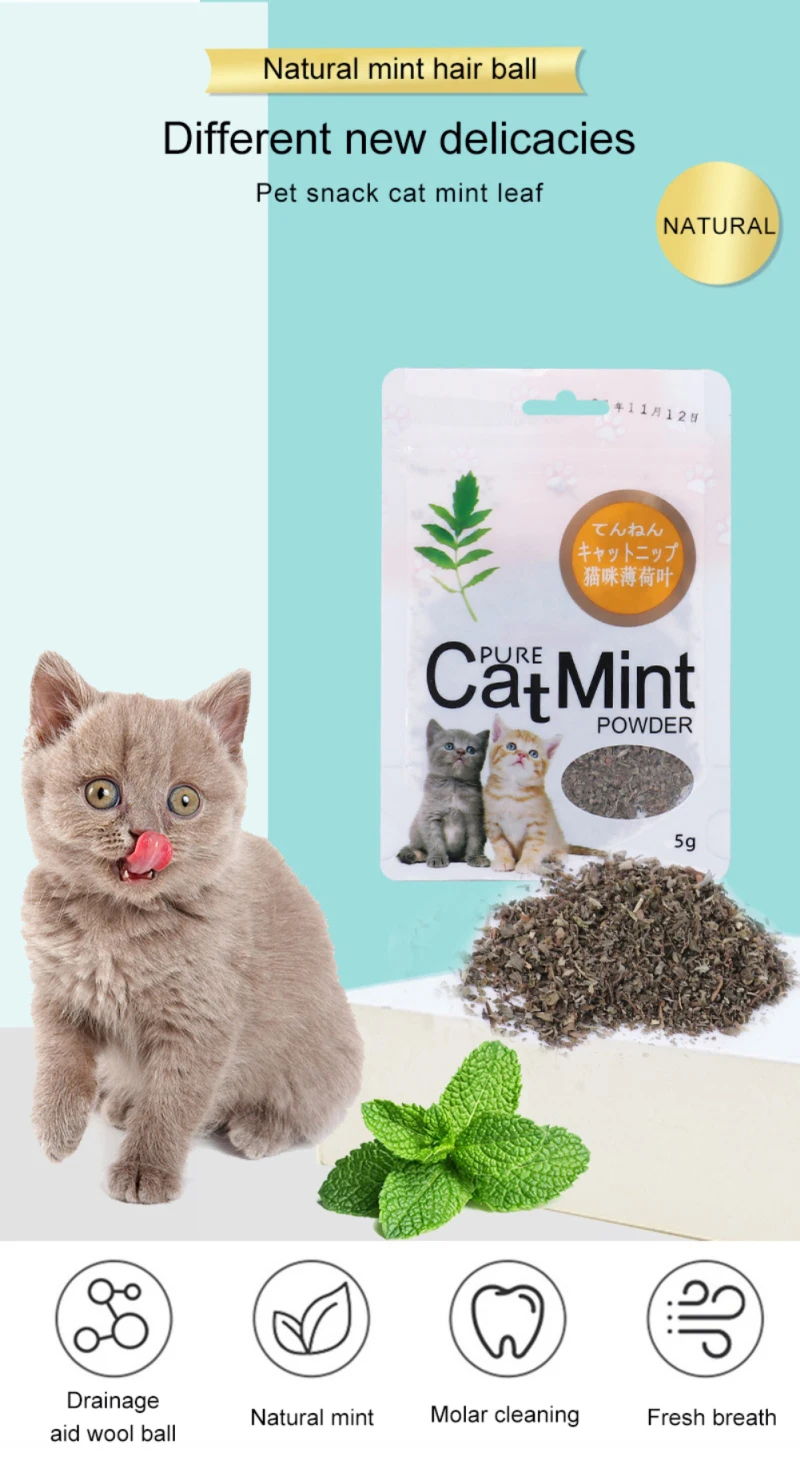 Description Picture 6 of item5g Cat Toy Catnip Organic 100% Natural Premium Catnip Clean Teeth Healthy Menthol Flavor Funny Cat Mint Toys Cat Accessories
