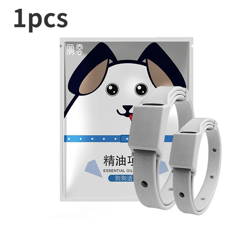 dog-1pcs