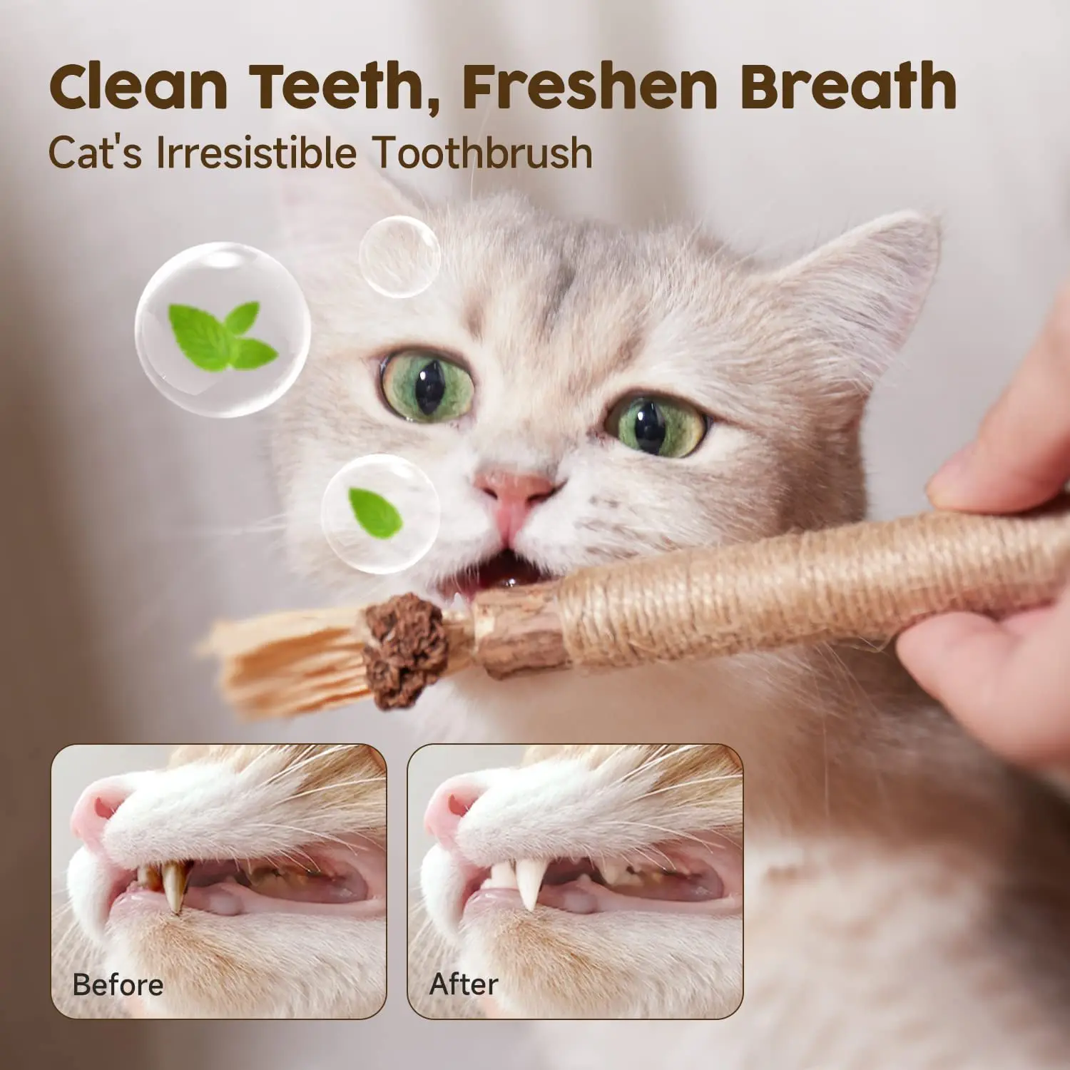 Description Picture 6 of itemCat Toys Silvervine Chew Stick,Kitten Treat Catnip Toy Kitty Natural Stuff with Catnip for Cleaning Teeth Indoor Dental
