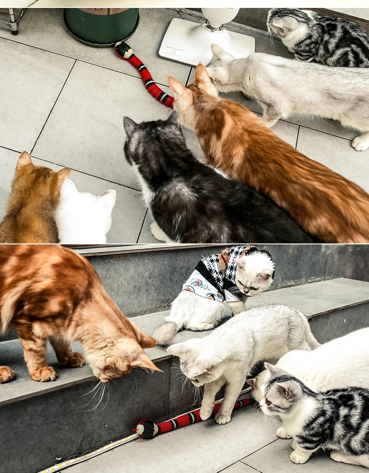 Description Picture 3 of itemSmart Sensing Interactive Cat Toys Automatic Eletronic Snake Cat Teasering Play USB Rechargeable Kitten Toys for Cats Dogs Pet