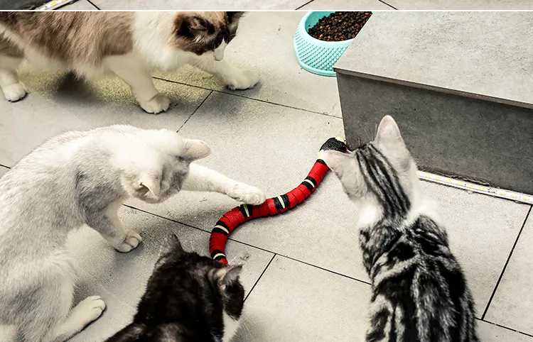 Description Picture 4 of itemSmart Sensing Interactive Cat Toys Automatic Eletronic Snake Cat Teasering Play USB Rechargeable Kitten Toys for Cats Dogs Pet