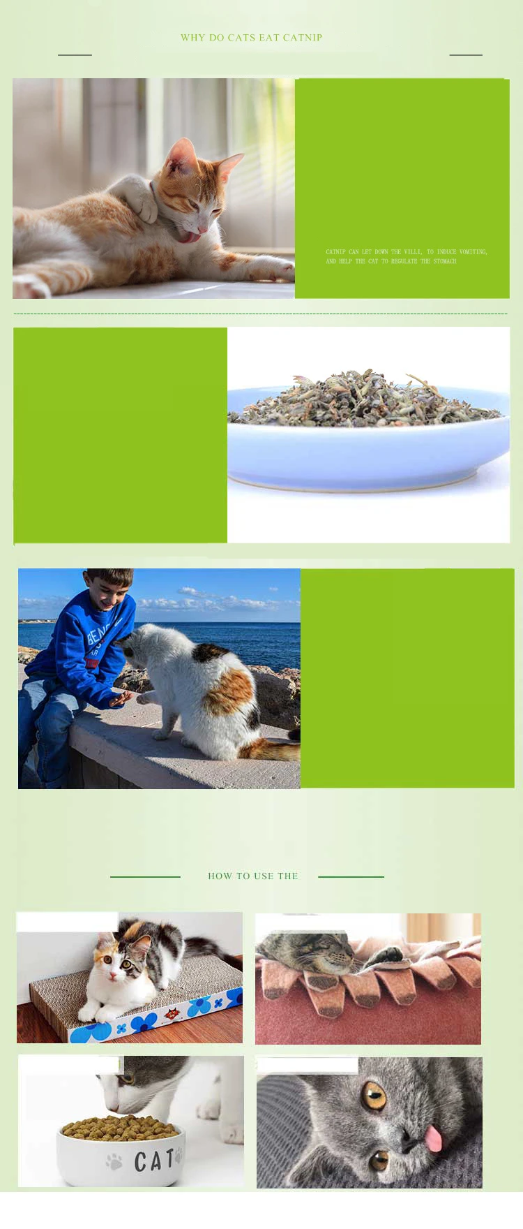 Description Picture 5 of itemNatural Catnip Cat Toys Menthol Flavor Clean Teeth Healthy Care Funny Cat Catmint Toys Organic Premium Catnip Cattle Grass  Tree