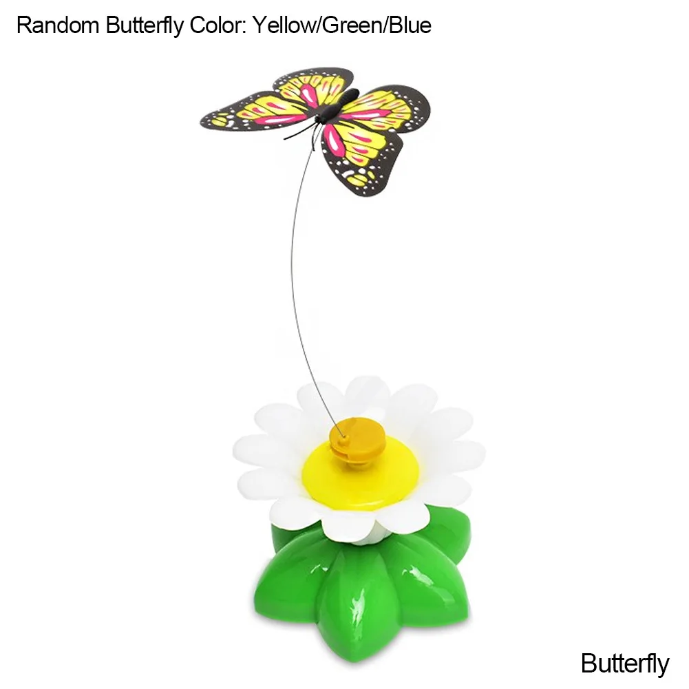 Butteryfly