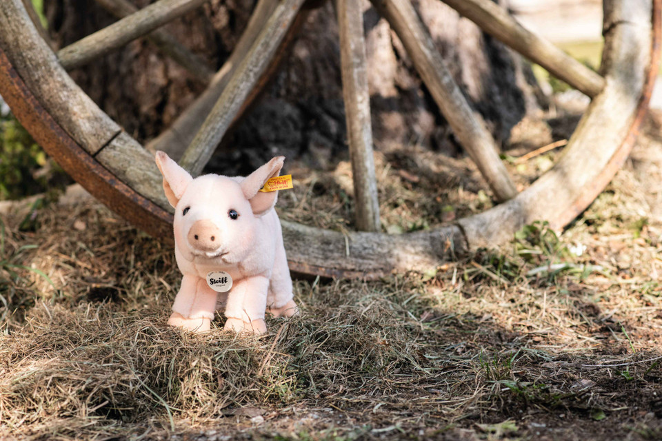 Sissi Piglet, 12 Inches, EAN 067402