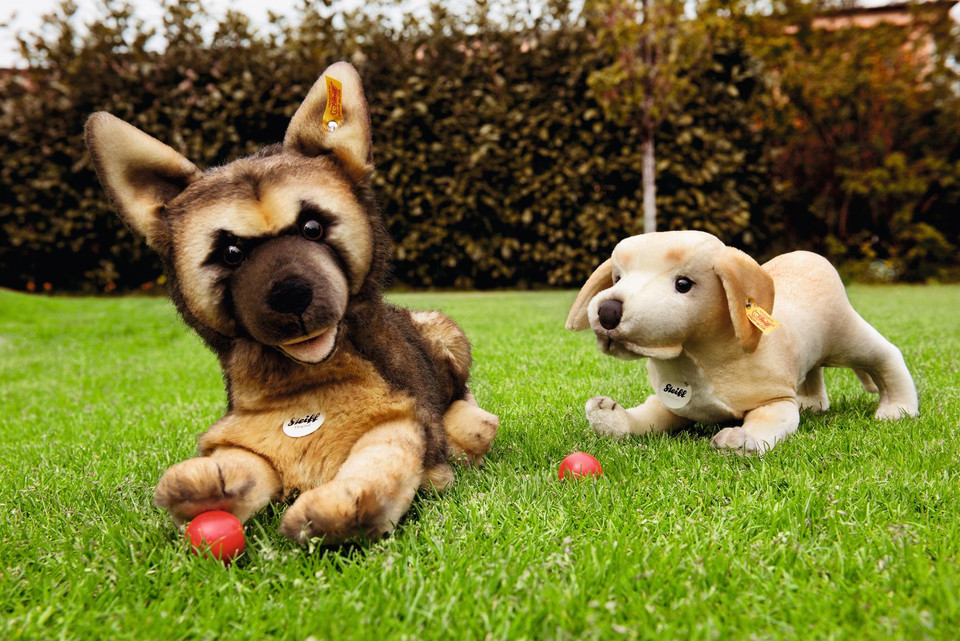 Slide image 9e2d48a4ac2945d28e673f95f91bb983