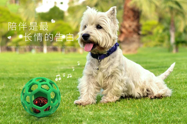 Description Picture 5 of itemDog Toy Ball Plastic Bell Pet Interactive Training Toy Ball Hollow Toy Ball Dog Chew Toys Molar Bite Rubber Chew Ball Puppy