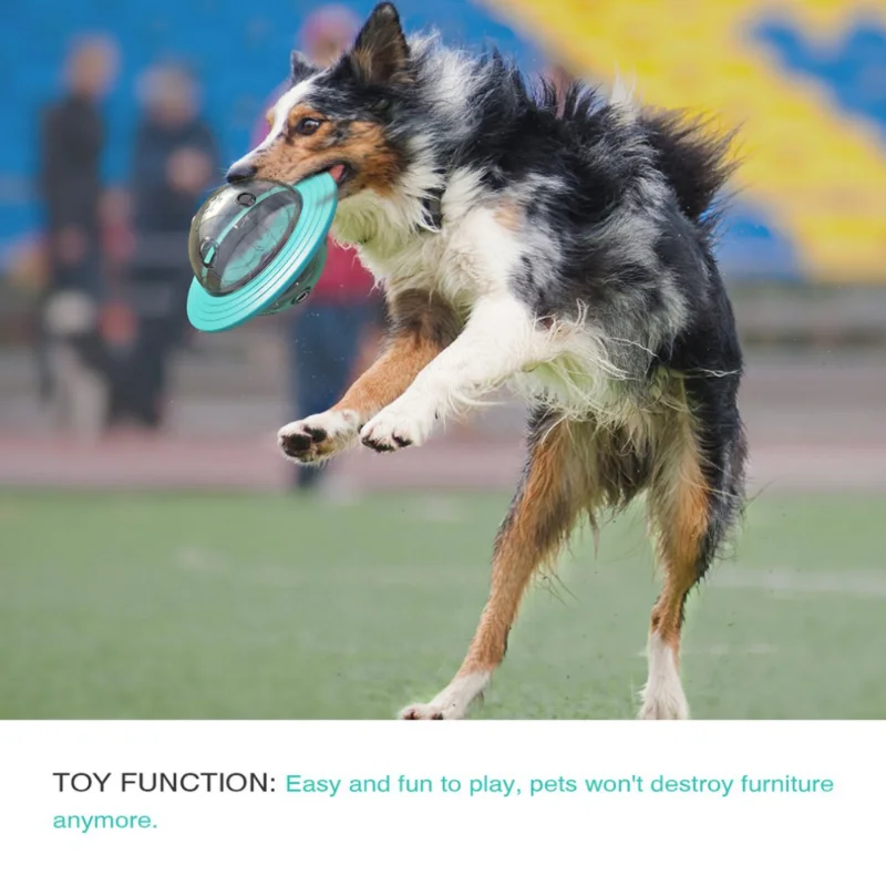 Slide image 46d5c45d500b4fde8045a8181eacd040