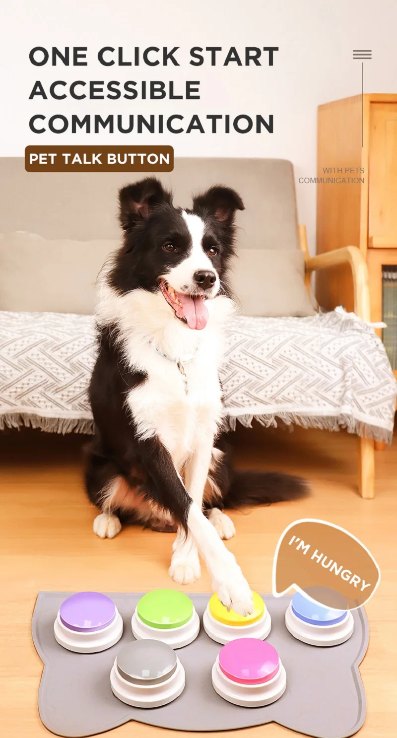 Slide image 1cef3d74361a46b981425f5e058ad341