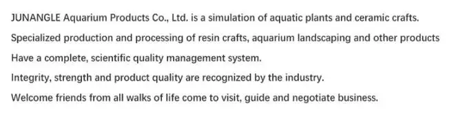 Description Picture 4 of itemEVA Flying Discs for Dog Training, Ring Puller Resistant Bite Floating Toy Outdoor Interactive Game, Playing Products Puppy 28CM