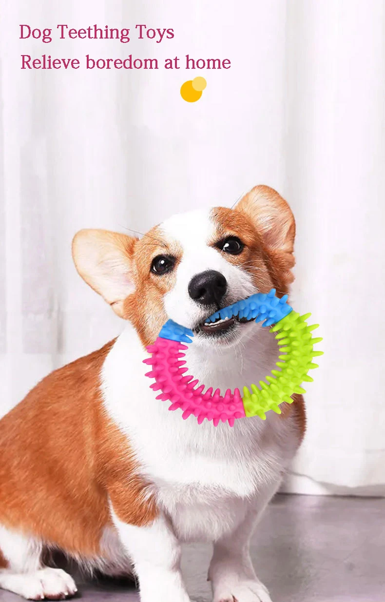 Description Picture 5 of itemPet Supply Toy Dog Toys Training Flying Discs Pet Ring Spiky Circle Ring Dog Bite-Chew Molar Cleaning Tooth Pet Supply
