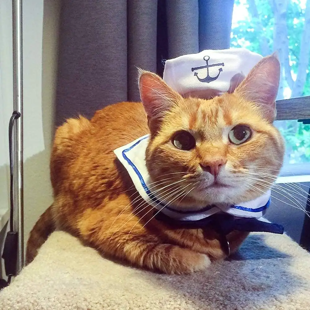 Description Picture 5 of itemATUBAN Pet Sailor Costume for Cats Small Dogs Halloween Cat Sailor Hat with Tie Collar Doggy Navy Outfit Cosplay Apparel