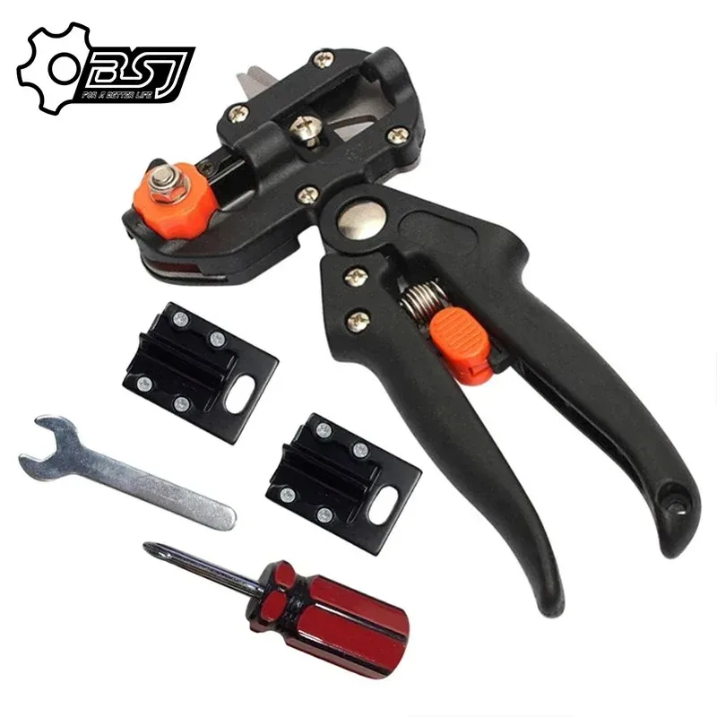 Slide image 5060822b19a5486eb3deecb7a260b327