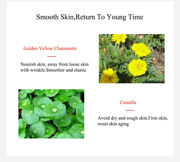 Description Picture 5 of itemAnti-Aging Wrinkles Face Cream Anti Puffiness Cream Moisturizing Fades Fine Lines Lifting Firming Whitening Brighten Skin Care