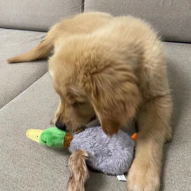 Description Picture 6 of itemCute Plush Stuffed Duck Sound Toy Small Medium Dog Squeaky Chew Rope Toys Pets Outdoor Intereactive Supplies Accessories