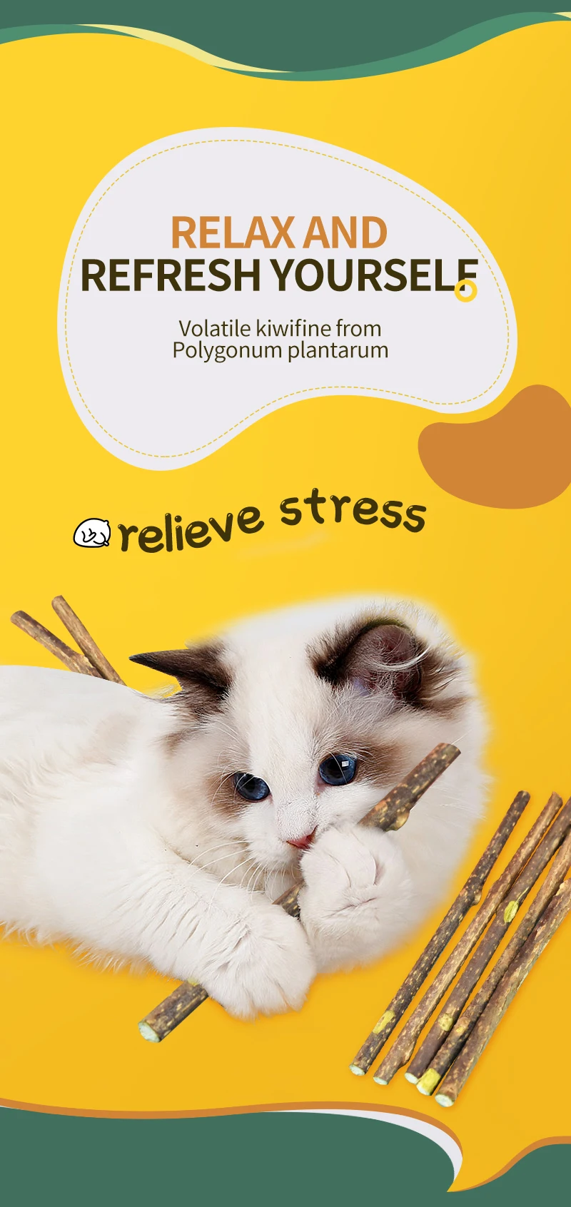 Description Picture 5 of item20Pc Pet Cat Molar Toothpaste Stick Natural Catnip Pet Cat Kitten Chew Stick Fruit Matatabi Cat Snacks Sticks Pet Cleaning Teeth