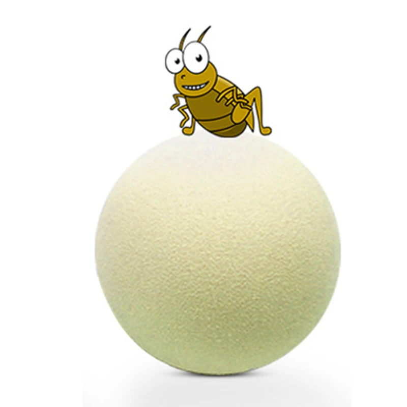 B Cricket