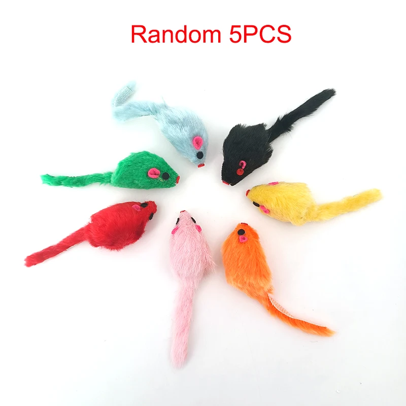 5PCS Random