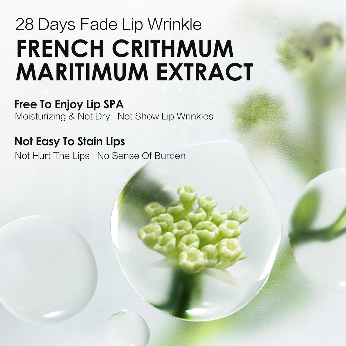 Slide image 8180b129d74b44d08963849b0061b2fe