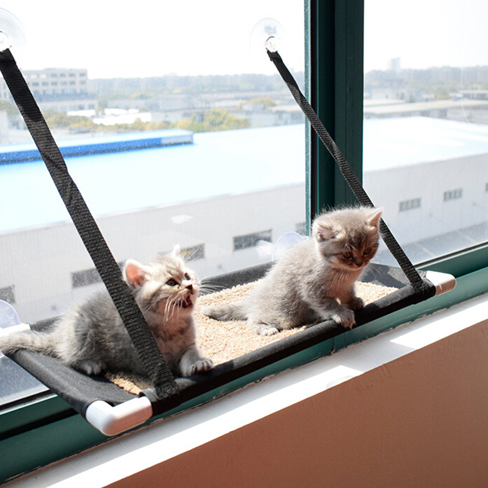 cat bed suction cup window