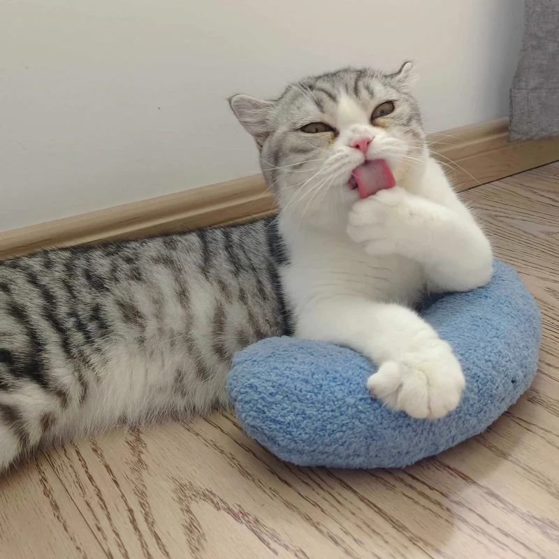 Cat specific small pillows for pets, dogs, and cats U-shaped pillows, sleeping pads, cat blankets, and warm pet products