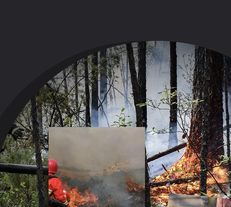 Slide image 004e168d261947d99ffc60712a1b8ebd