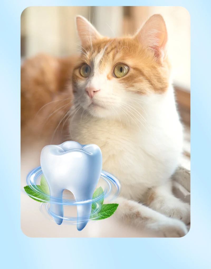 Description Picture 3 of item5g Cat Toy Catnip Organic 100% Natural Premium Catnip Clean Teeth Healthy Menthol Flavor Funny Cat Mint Toys Cat Accessories