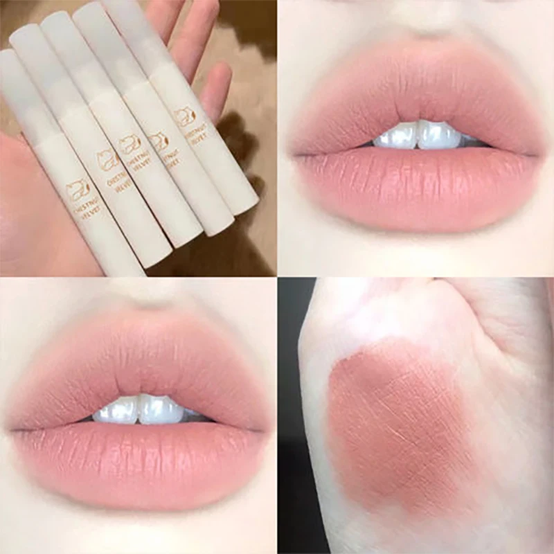 5 Color Lipstick Velvet Matte Liquid Lip Glaze Waterproof Lip Gloss Long Lasting Sexy Women Lip Tint Beauty Cosmetic Hot