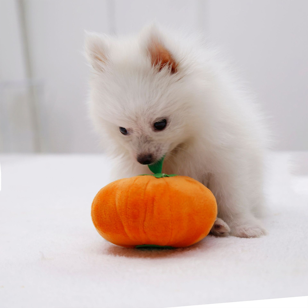 Description Picture 4 of itemPet Plush Pumpkin Squeak Toys Cat Dog Chew Doll Tooth Cleaning Molar Toys Pet Supplies For Anxiety Relief