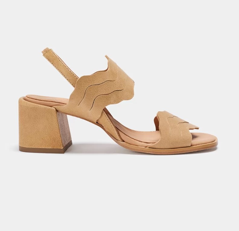 SAMPLE BERDAMAI CAMEL